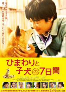 二次元coser桜井宁宁写真作品8套新作合集538P+1V/8.05G